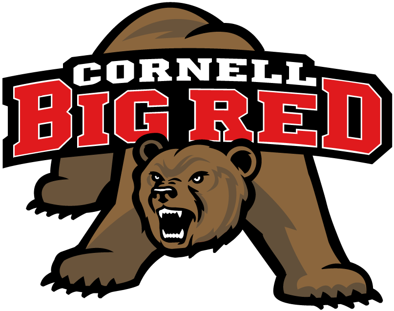 Cornell Big Red 2002-Pres Alternate Logo diy fabric transfer